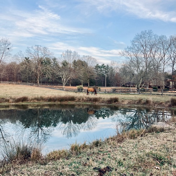 Heart Diamond Farm - Picture 9 of 15